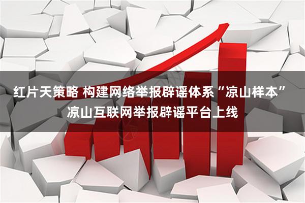 红片天策略 构建网络举报辟谣体系“凉山样本” 凉山互联网举报辟谣平台上线