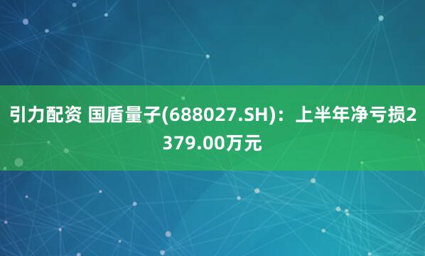 引力配资 国盾量子(688027.SH)：上半年净亏损2379.00万元